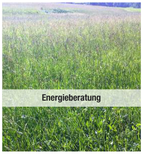 energieberatung